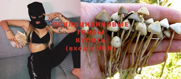 дурь Балабаново