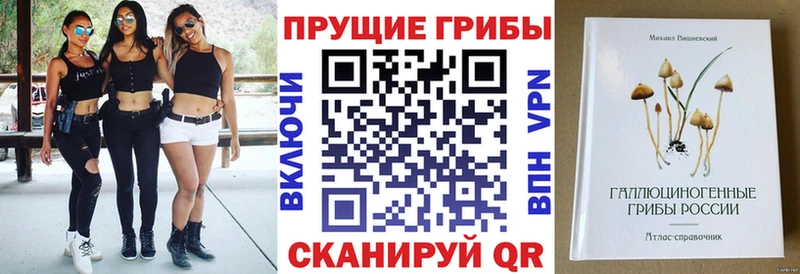 купить наркотик Вуктыл блэк спрут ТОР Псилоцибиновые грибы ЛСД